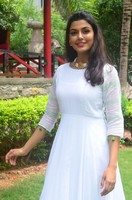 Anisha Ambrose Wet Dress Photos